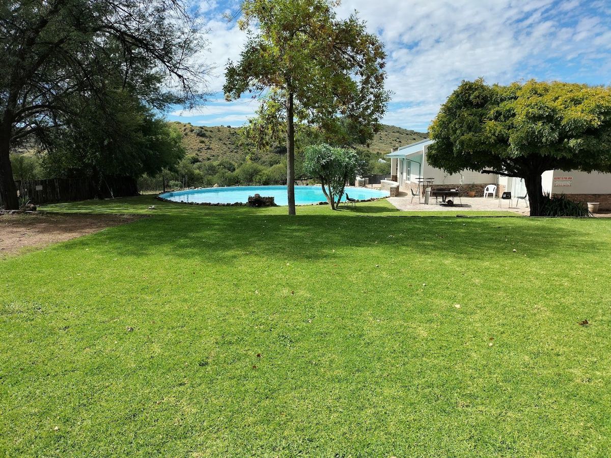Lawn and pool under the trees
