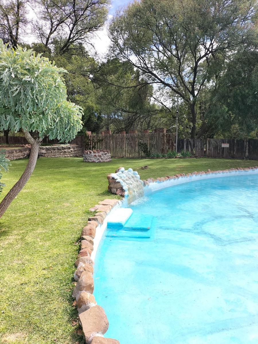 Curved pool edge in the garden