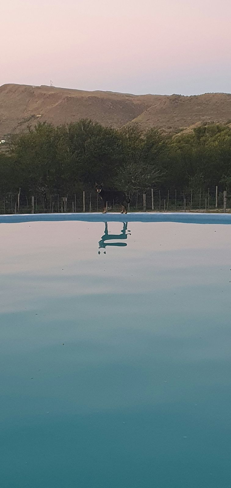 Pool at dusk with the koppies reflected